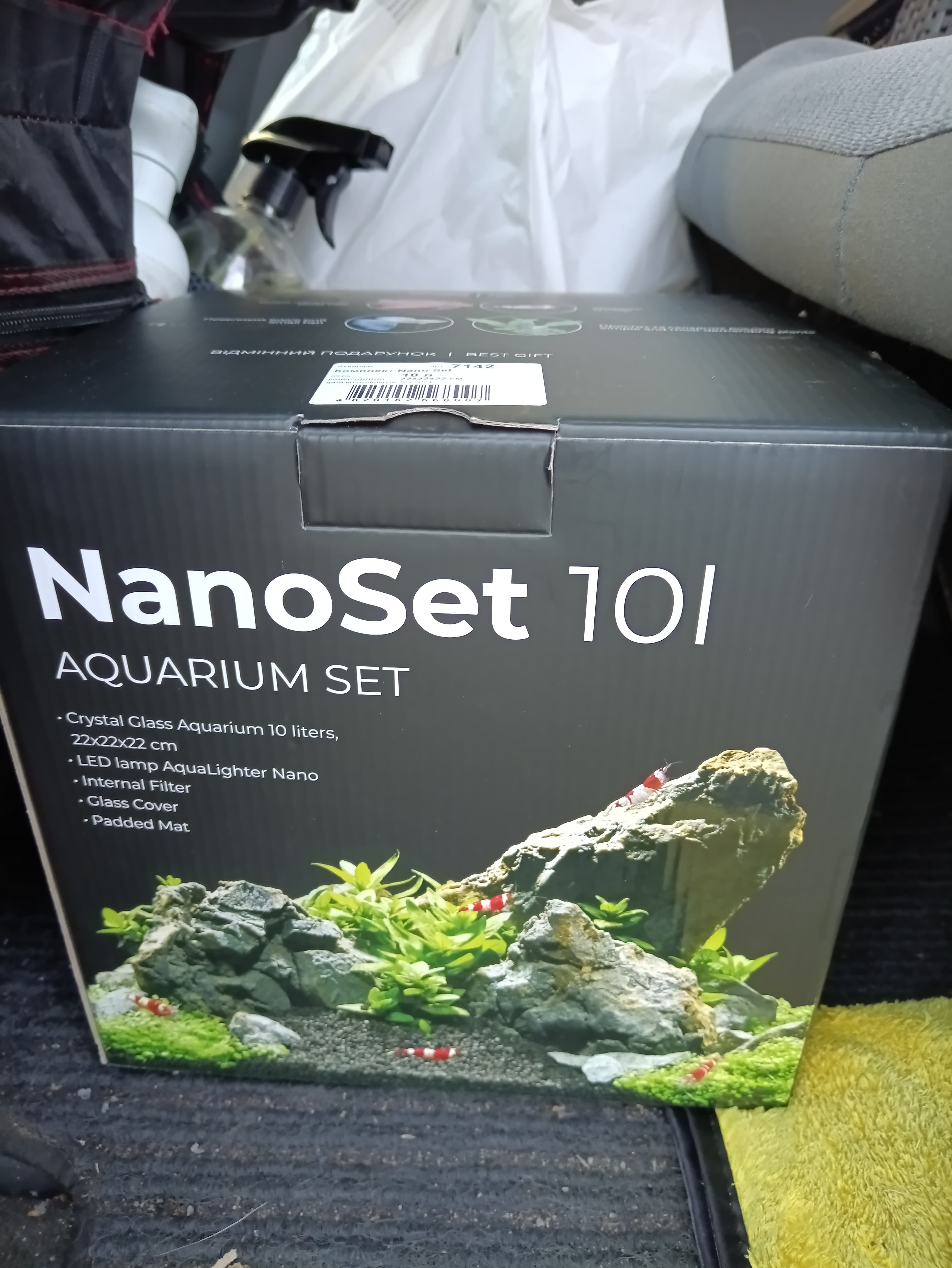 My First Aquarium: 10 Liters That Changed Everything