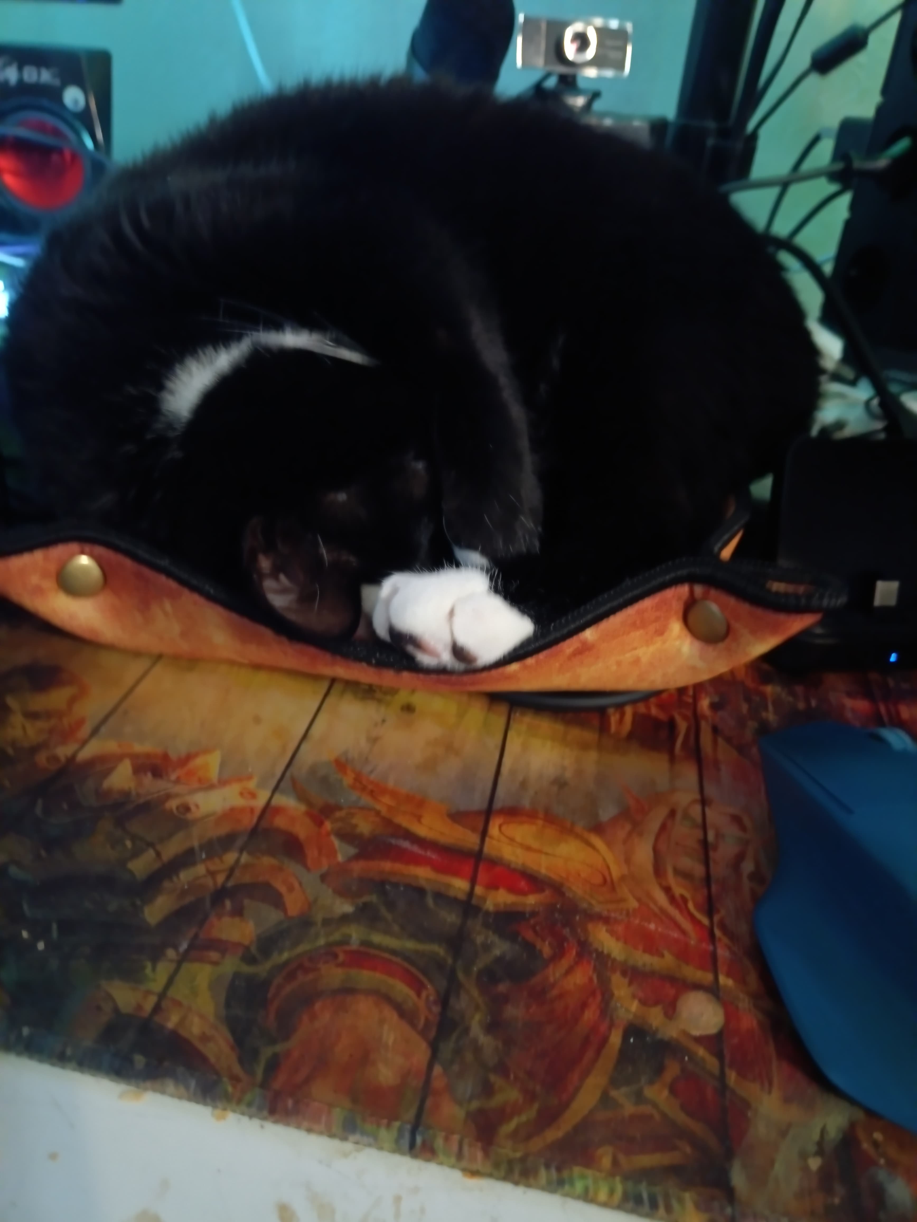 A small moment of calm in the middle of a busy desk.